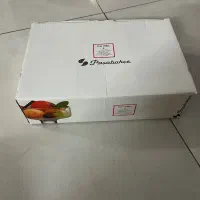بستنی خوری پاشاباغچه ترک