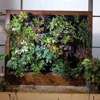 بازدید و مشاوره گیاه پزشکی