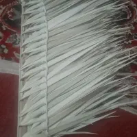 جارو دستی