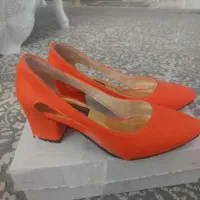 کفش مجلسی