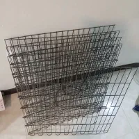 پارک و دو عدد سینی سگ خانگی