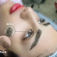 فیبروزابرو،لیفت بروز،آموزش تخصصی + آموزش ریمو