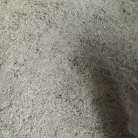 یونجه پرسی چین ۴