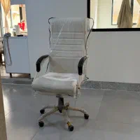 صندلی چرخ دار