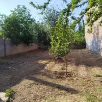ملک  زمین