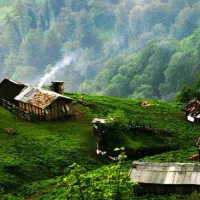 تور طبیعت گردی