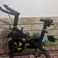 دوچرخه ثابت