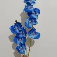 دوشاخه گل ارکیده