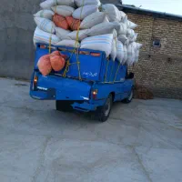 کاه عدس درجه یک