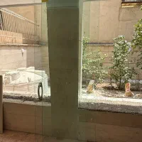 درب شیشه سکوریت