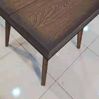 تشک شاهان
