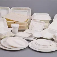 کلیه ظروف یکبار مصرف (کیفیت بالا)