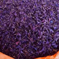 گل گاو زبان شمالی اعلا