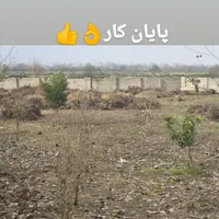 خدمات کار بادستگاه چمن زن و اره موتوری|خدمات باغبانی و درختکاری|لشت نشا, |دیوار