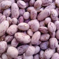 تامین انواع مواد اولیه رستوران ها
