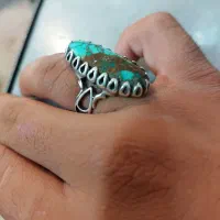 فیروزه رخ دار