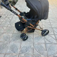 کالسکه دلیجان مدل بنیتا