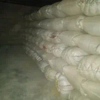 جو محلی درجه یک بذر