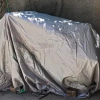 موتور هارلی کلکسونی