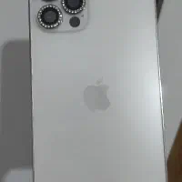 12pro