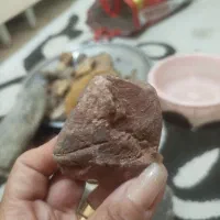 فسیل ماهی چند میلیون هزارساله