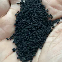 سیاه دانه اعلاء