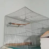 قفس پرنده سالم و تمیز