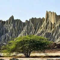 طبیعت گردی و دورهمی
