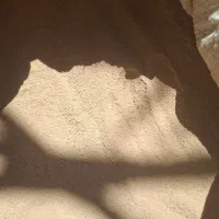 خاک شیره  انگور