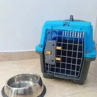باکس پت و ظرف