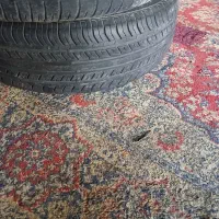 یک جف لاستیگ صمند