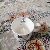 ماگ|ظروف سرو و پذیرایی|مشهد, الهیه|دیوار