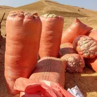 کاه