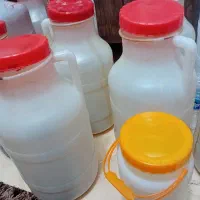 دبه ۸کیلویی و۲کیلویی