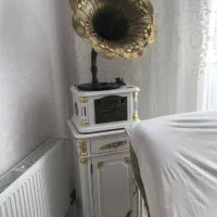 گرامافون برنج  فلش خور