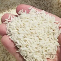 فروش برنج طارم درجه یک  تا ۱۰۰ کیلو موجود است
