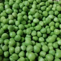 نخودفرنگی ولوبیاسبزوباقالی پاک شده درجه۱وقیمت خوب