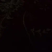 خط فروشی0912.077.4271
