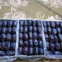 خرمای مضافتی درجه یک