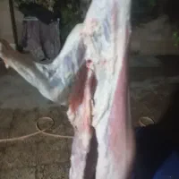 گوشت گاو و کهره