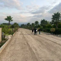 زمین سندار جنگلی شهرکی تهرانی