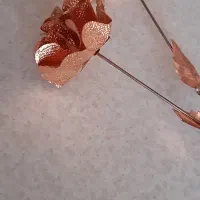شاخه گل مسی