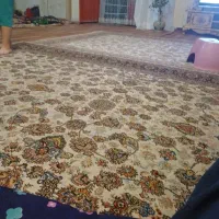 باسلام به یکنفر شاطر ماهر بربری نیازمندیم