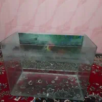 آکواریوم شیشه خم