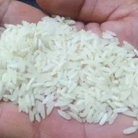برنج محلی بدون خورده خوش پخت خوش بو