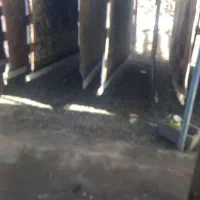 اگه دنبال یک قالیشویی هستی که