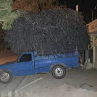 ضایعات کشاورزی