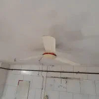 پنکه سقفی سالم