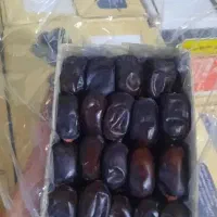 خرما صادراتی