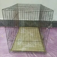 قفس|لوازم جانبی حیوانات|قم, زند آباد|دیوار